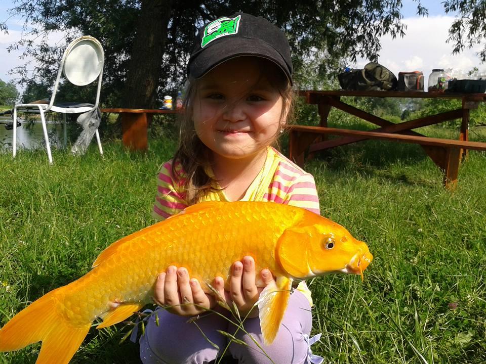 15-17.05.2015 - 113930129689959897998873587832646907251710n.jpg